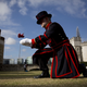 Image for article titled 888,246 Handmade Poppies Surround the Tower of London to Commemorate WWI